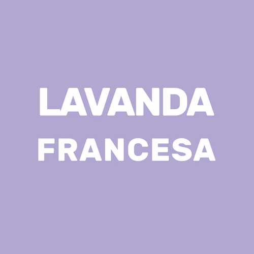 Difusor artesanal con aroma lavanda francesa - Miu Creaciones