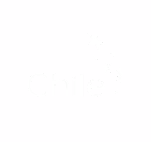 Logo Marca Chile - Miu Creaciones